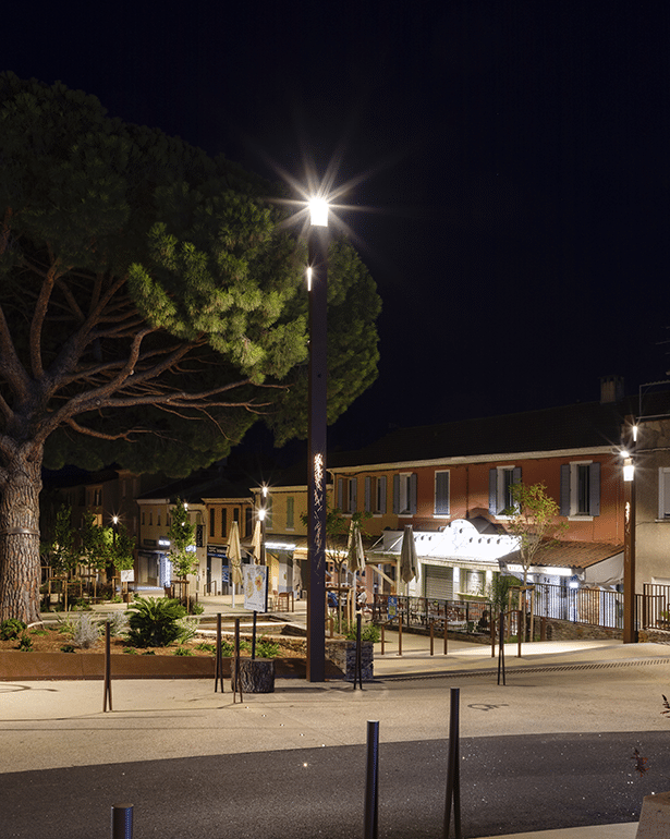 Pine tree Square, Bormes-Les-Mimosas