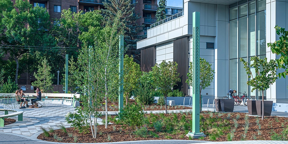 projet, Calgary, Parc Lois Szabo Commons